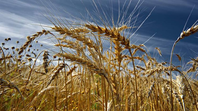 Народные приметы на 19 апреля: что можно и нельзя делать