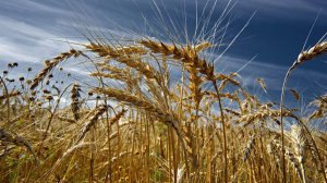 Народные приметы на 19 апреля: что можно и нельзя делать