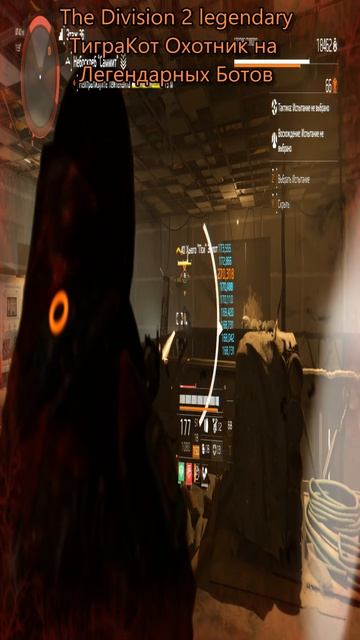 The Division 2 Legendary ТиграКот #division2legendary #shorts