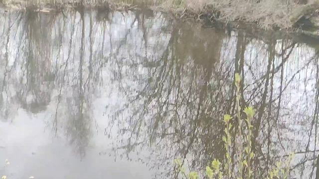 ЛЕХА РЕШИЛ ☝️ШАПОКЛЯЧКА ЕМУ НЕ НУЖНА😲 ❗ПОЙДУ УТОПЛЮСЯ💯😯😥🌊🌊🌊