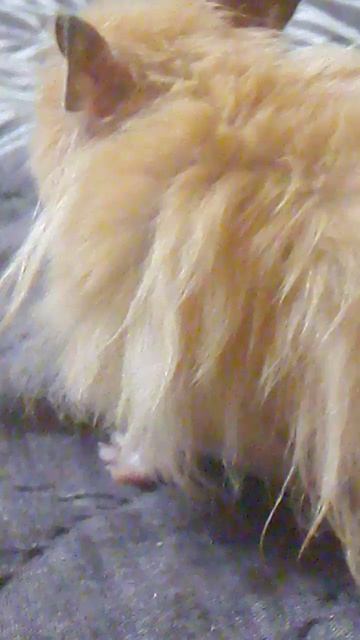 VID_20260322_201926.3gp