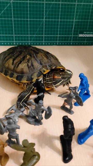 Мега баттл!!!