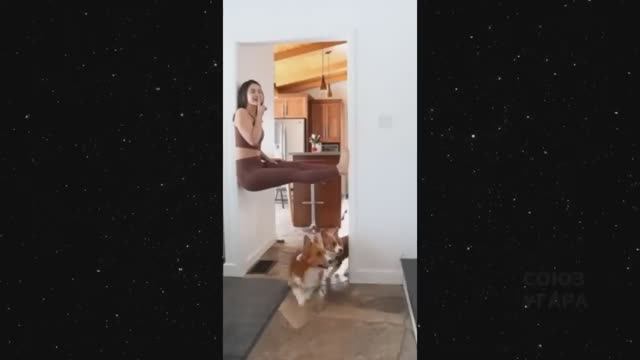 ПОПРОБУЙ НЕ ЗАСМЕЯТЬСЯ😂 ТОП подборка смешных видео!