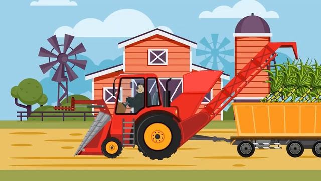 Мультфильм для детей, развивающий, обучающий полезным навыкам. Про медведей.