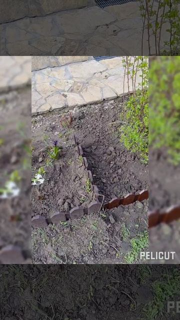 Не понравилось, как получилось! Буду переделывать!