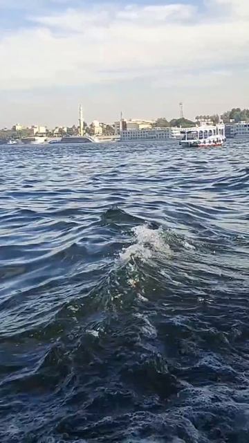 Нил или Красное море?