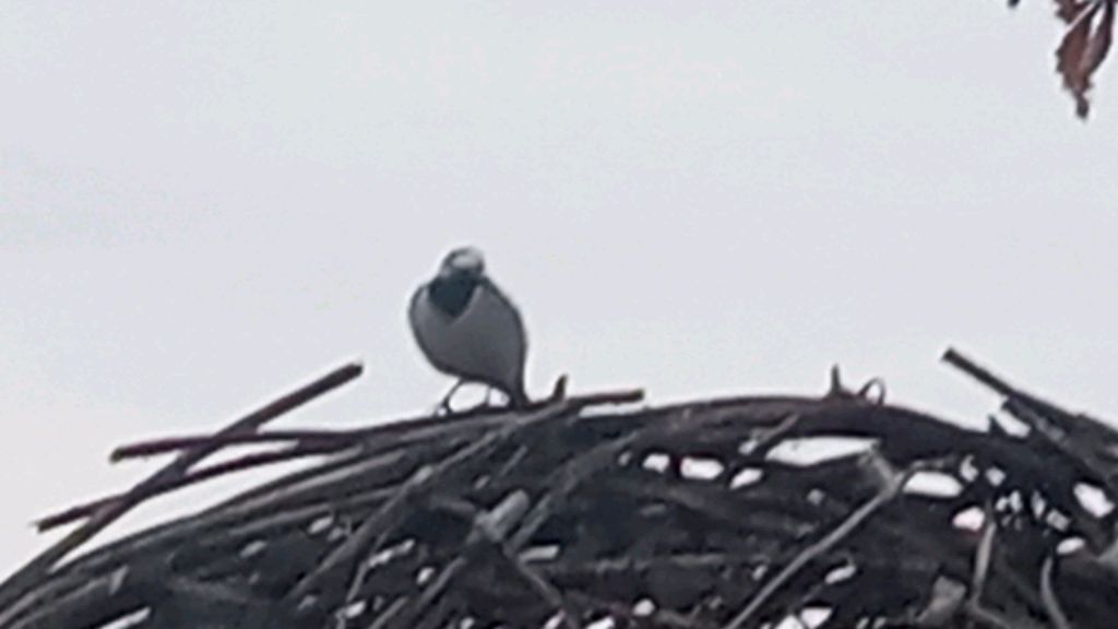 прогулка по набережной