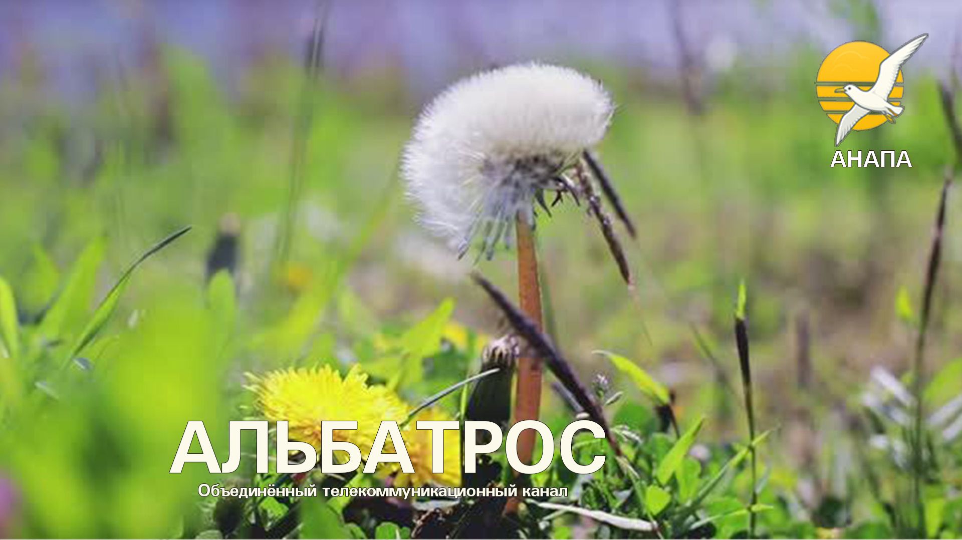 Анапа .Обстановка на пляже возле Анапки 14 апреля 2026 года // АНАПА, объектив ИНДУСТАР 61 ЛЗ в деле