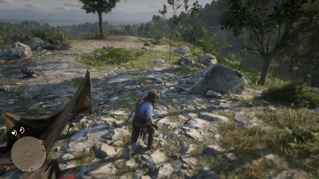 Red Dead Redemption 2 часть 3