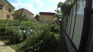 Влог от 05.08.2022