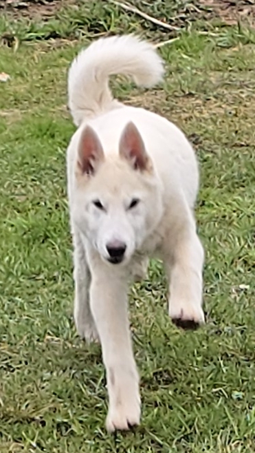 Кусаться сразу