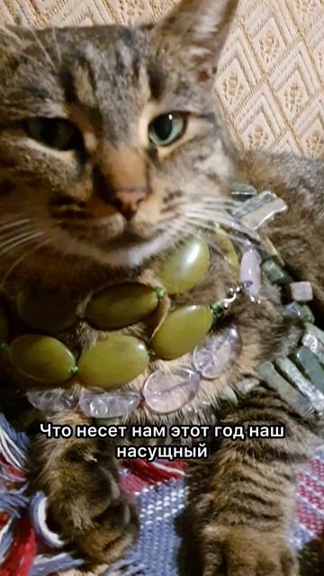 Вы верите в реенкарнацию?