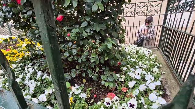 Гора Бейкос -место распятие Христа на Голгофе, 18.04, Турция. Мир Универсологии