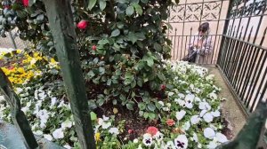 Гора Бейкос -место распятие Христа на Голгофе, 18.04, Турция. Мир Универсологии