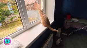 #Абхазия2026🌴 19.04.26г.🔥 Выпуск № 2371❗вчера +23°🌡ночью +11°🌡море +11,5°🐬