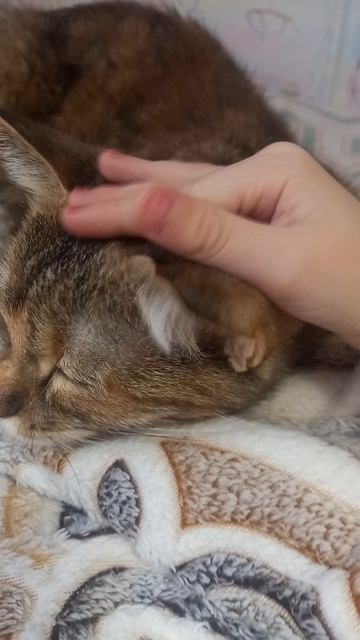 милая наша Герда