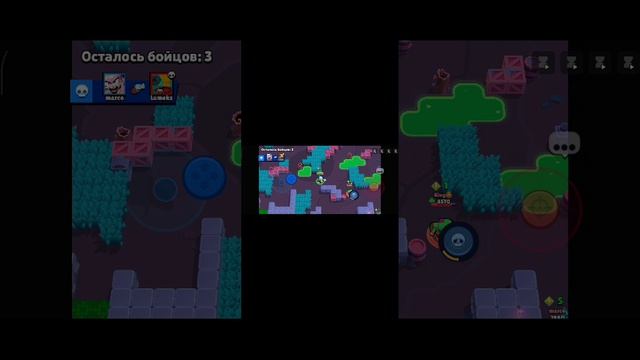 первое видео