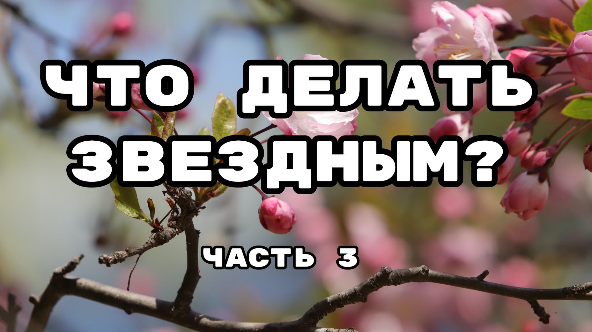 Что делать звездным. Третья часть.