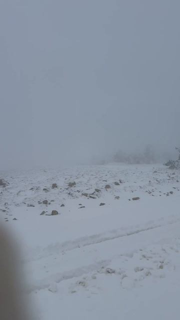 Ай-Петри, Апрель, со стороны Екатерининской дороги🤍🏔️