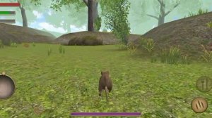 ЛЮБИМАЯ КРЫСА.♥️