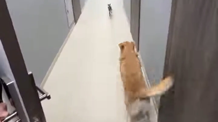 за кого болели ?