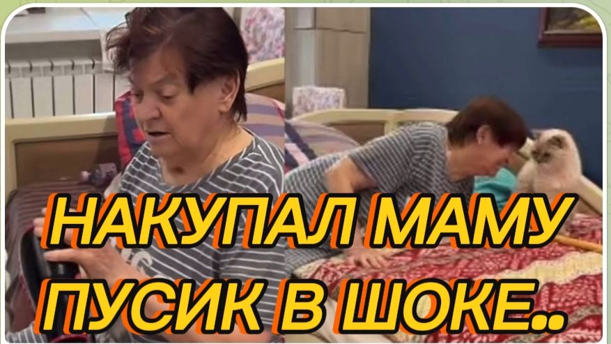 САМВЕЛ АДАМЯН, МОЕМ МАМЕ ГОЛОВУ, ДЕЛАЕМ УКЛАДКУ, ПУСИК В ШОКЕ..