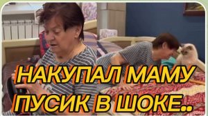 САМВЕЛ АДАМЯН, МОЕМ МАМЕ ГОЛОВУ, ДЕЛАЕМ УКЛАДКУ, ПУСИК В ШОКЕ..