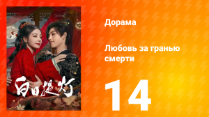 Любовь за гранью смерти 14 серия