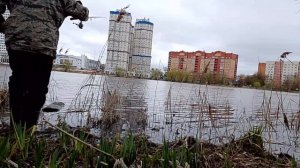 Весенний фидер, река Серебрянка,рыбка ещё не проснулась