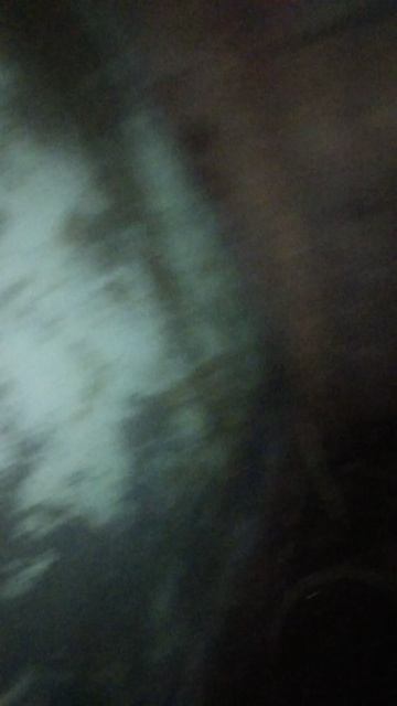 где же новые крольчата ? Крольчата на пятый день