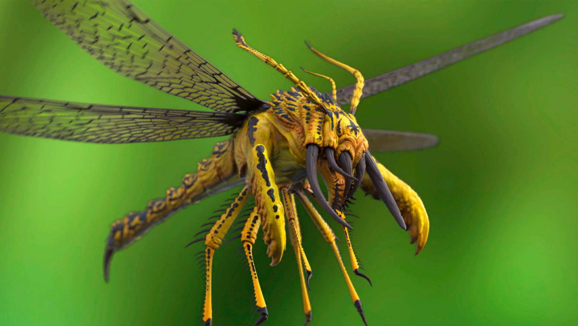 Загадочные ископаемые.