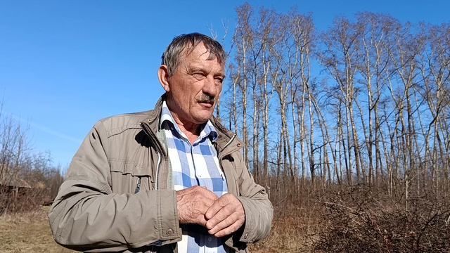 Сорта жимолости