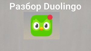 Разбор Duolingo(дьявольская сова?) | KABARDINKA
