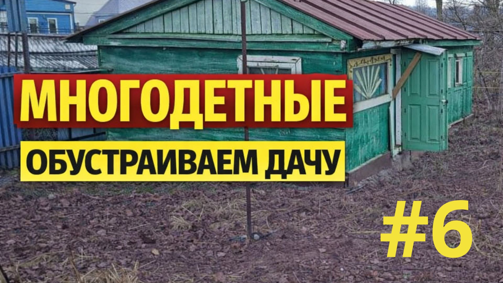 Снова получили подарок от подписчиков. Переселенцы