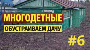 Снова получили подарок от подписчиков. Переселенцы