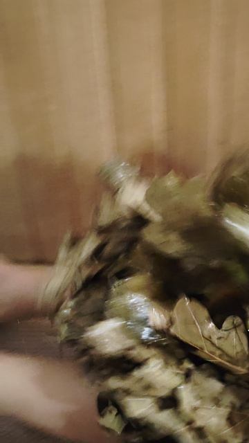 Petal_hdr_20260419_134055.mp4