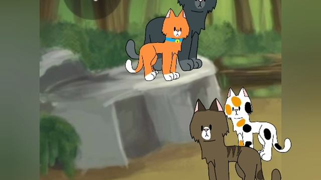 стань диким / коты воители / 2 часть