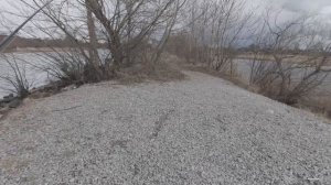 Судак на мандулу. Волхов.