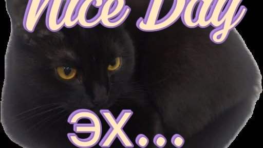 #10 Одна жалкая победа на арене|Супер Мехс|Super Mechs