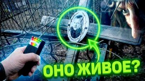 КТО ЗДЕСЬ Неожиданная реакция детектора на кладбище