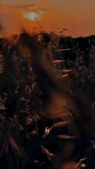 🕌 Аллах прощающий! #хадис #коран #ислам #сура #аят