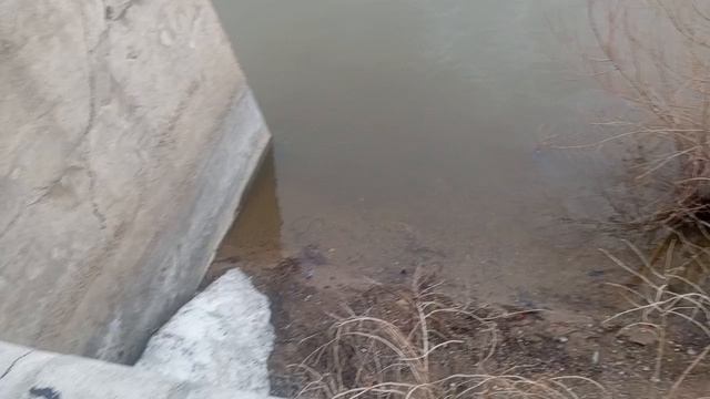 Рубрика Прогулка