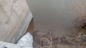 Рубрика Прогулка