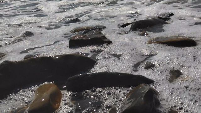 Морюшко❤️❤️❤️❤️