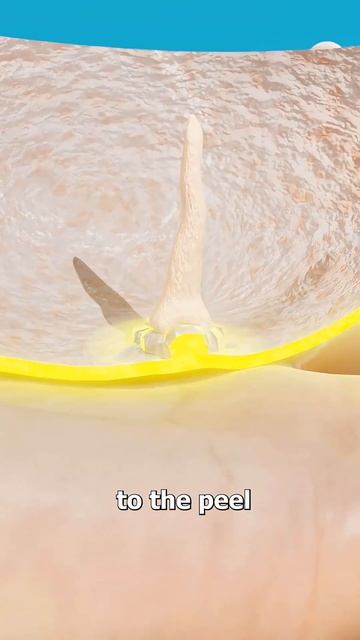 This Is Wonderful Hack!