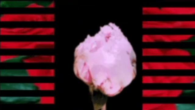 ДОБРЫЙ ВЕЧЕР!ХОРОШЕГО ВСЕМ  НАСТРОЕНИЯ!//УМАР КЕЙН//