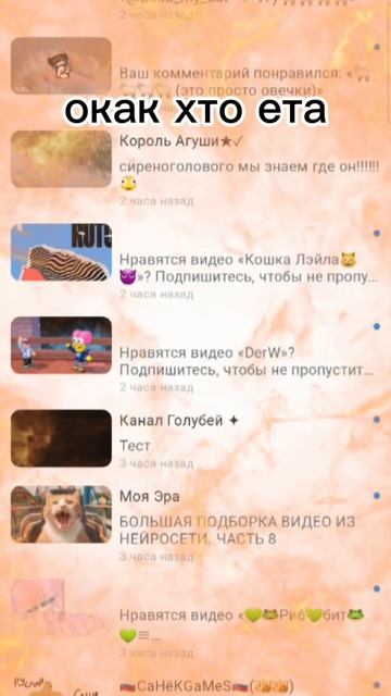 рутуб багнулся но баг он уже прошёл