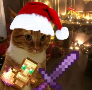 пвп тренировки