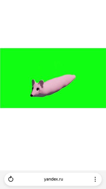 мышка сосиска🤣🤣🤣🤣