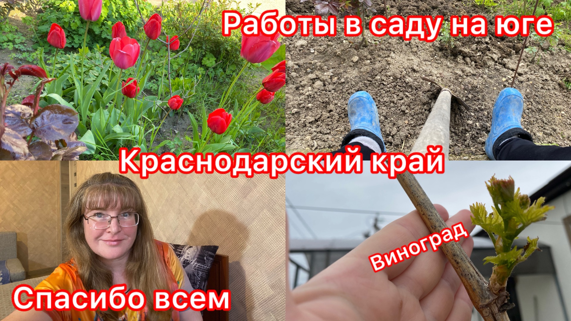 Купили дом. Стрим на ВК. Шашлык. Баня. Дождь опять. Жизнь на юге.